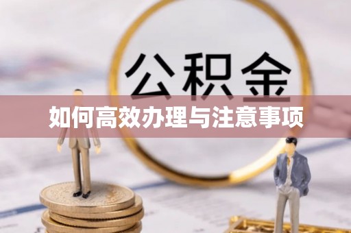 淅川如何高效办理与注意事项