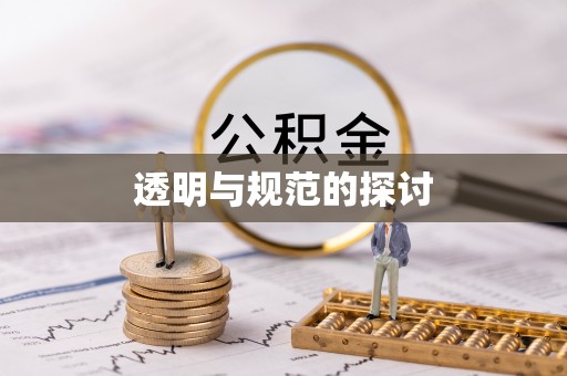 淅川透明与规范的探讨