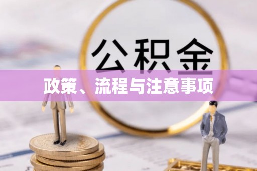 淅川政策、流程与注意事项