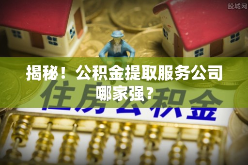 淅川揭秘！公积金提取服务公司哪家强？