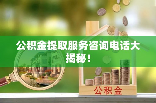 淅川公积金提取服务咨询电话大揭秘！