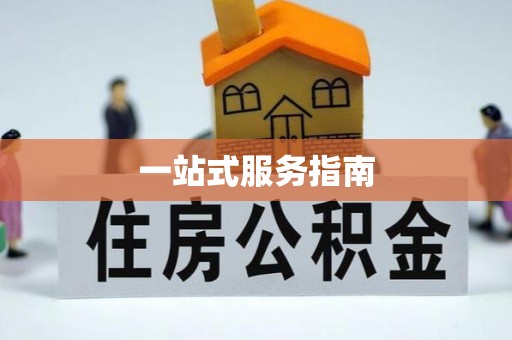 淅川一站式服务指南