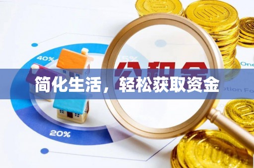 淅川简化生活，轻松获取资金