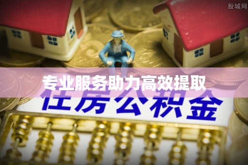 淅川专业服务助力高效提取