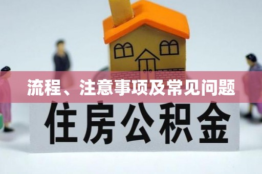 淅川流程、注意事项及常见问题